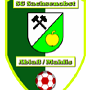 1990 - 2009 SG Sachsenobst Ablaß-Mahlis